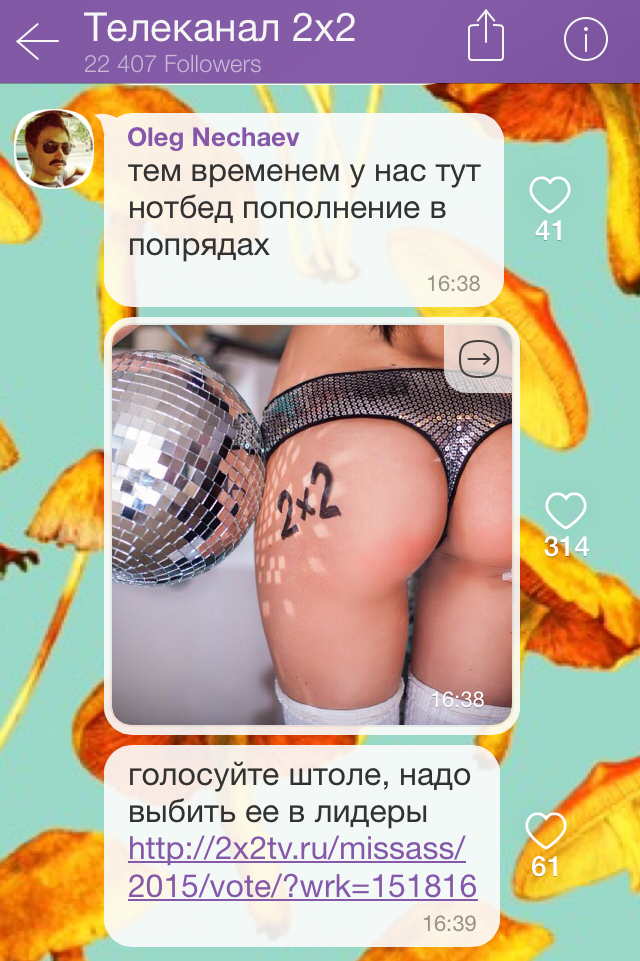 miss ass miss ass