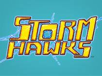 Небесные рыцари