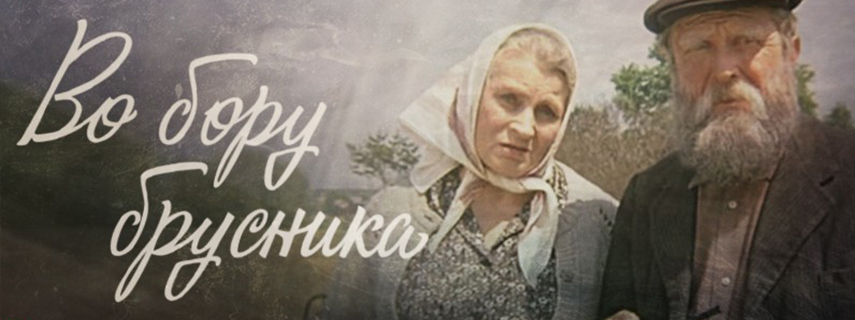 Во бору брусника