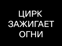 Цирк зажигает огни