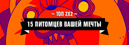 Топ 2x2:15 питомцев вашей мечты