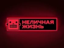 Неличная жизнь