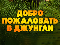 Добро пожаловать в джунгли