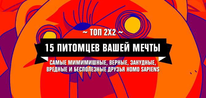 Топ 2x2:15 питомцев вашей мечты Топ 2x2:15 питомцев вашей мечты