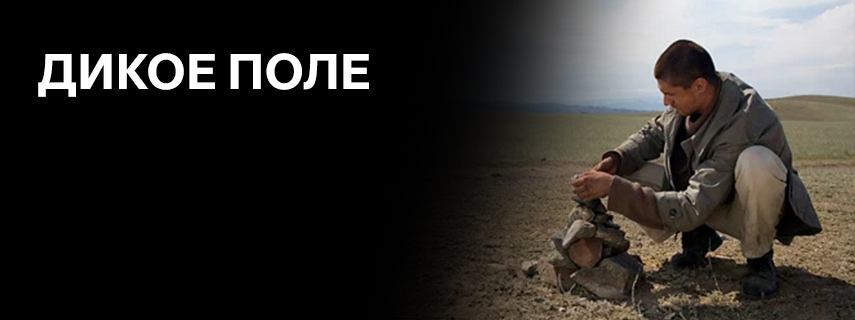 Дикое поле