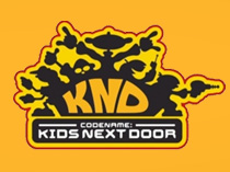 Тайная команда нашего двора