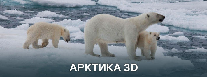 Арктика 3D