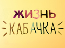 Жизнь кабачка