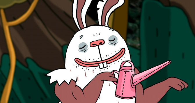 Заяц-гигант