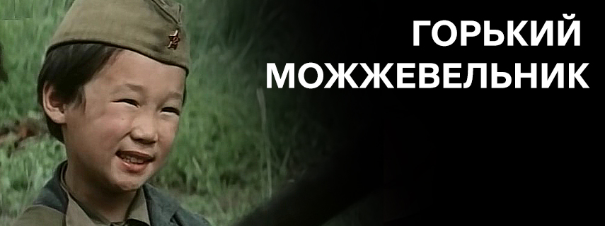 Горький можжевельник