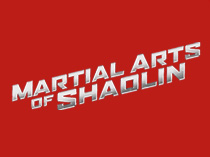 Боевые искусства Шаолиня