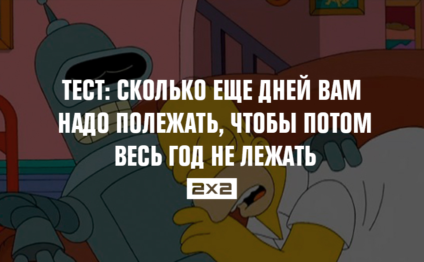 quiz quiz