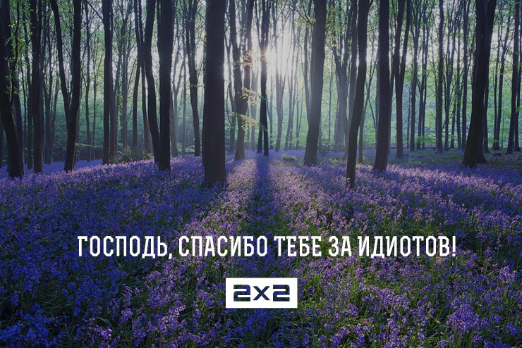 945857.jpg 945857.jpg