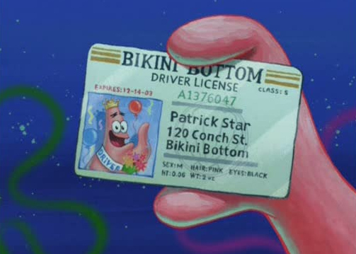Патрик водительские права