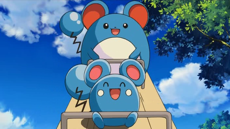 Azurill Azurill