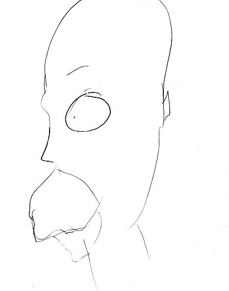 Homer Simpson wtf Homer Simpson wtf