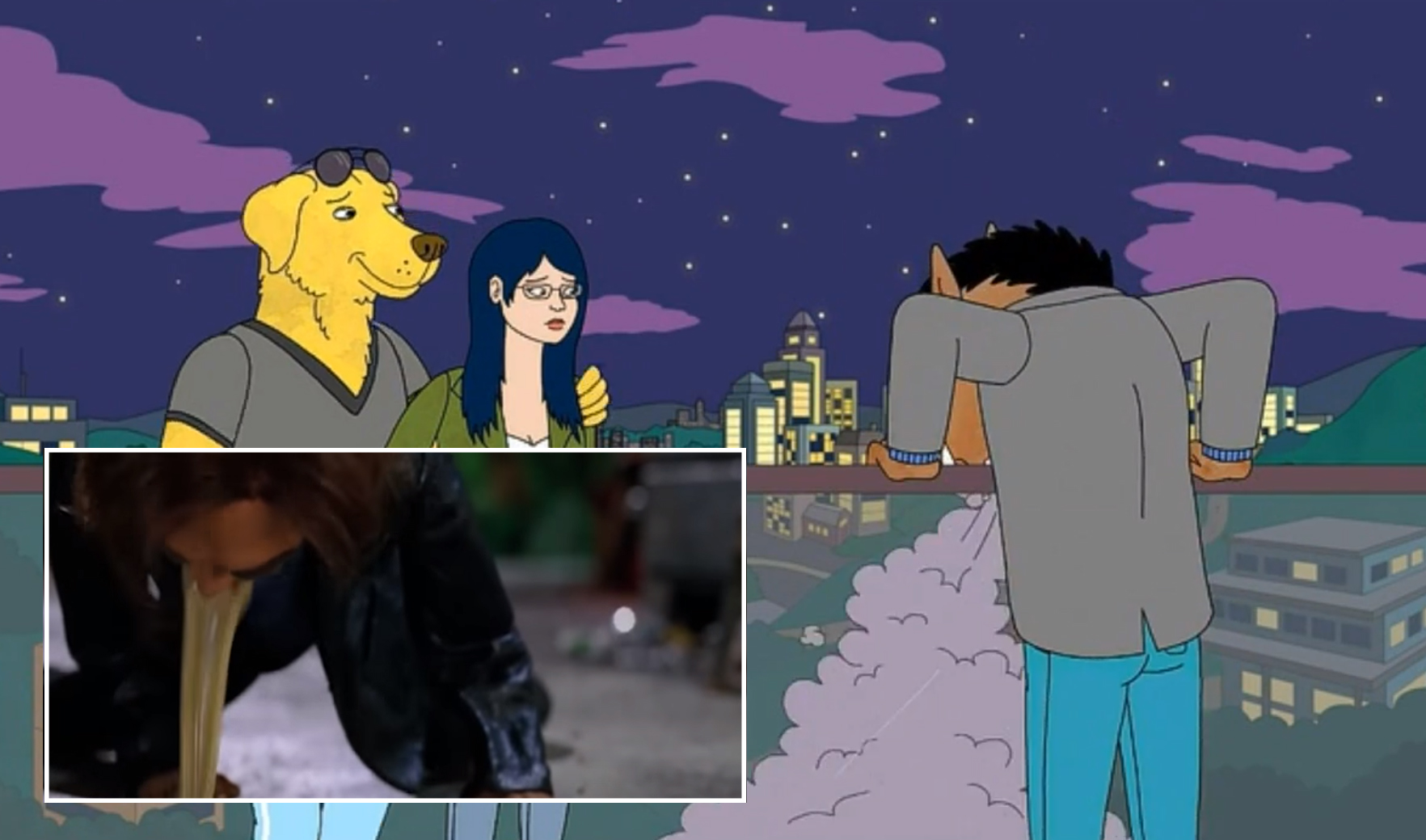 BoJack Horseman BoJack Horseman