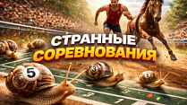 Как быстро ползают улитки? Топ-10 самых странных соревнований в мире