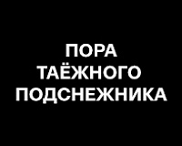х/ф Пора таёжного подснежника