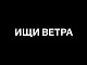 Ищи ветра